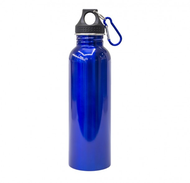 STAINLESS STEEL WATER BOTTLE 750ML (DBW-21141) - ROYAL BLUE